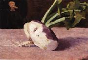 Odilon Redon Celery Root oil painting on canvas